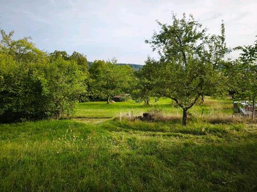 Foto - Gartengrundstück in Ammerbuch Entringen bei Tubingen