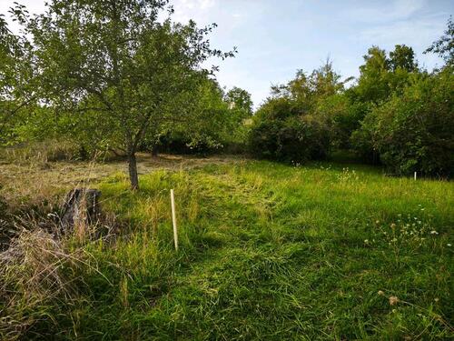 Foto - Grundstück in Herrenberg