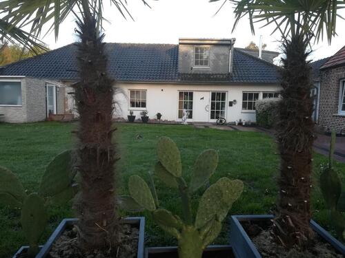 Foto - 3 Zimmer Dachgeschosswohnung in Doemern