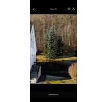 Haus mit einfacher Ausstattung in Brilon Wald zu vermieten