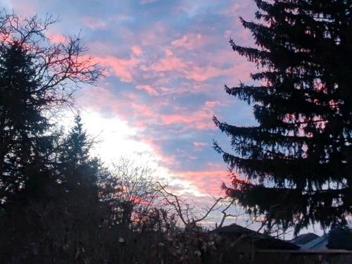 Foto - Gartenmitnutzung - 150,00&nbsp;EUR Kaltmiete, ca.&nbsp; 0,00&nbsp;m&sup2;