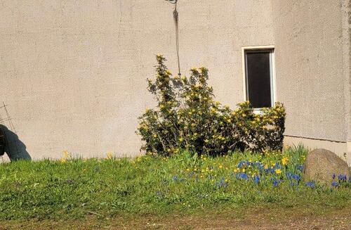 Foto - 3.5 Zimmer Etagenwohnung zur Miete in Kemberg
