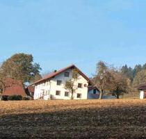 Hofstelle Alleinlage Bauernhaus Großfamilie WG - Schwarzach