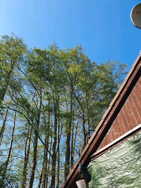 Foto - Einfamilienhaus in Bamberg