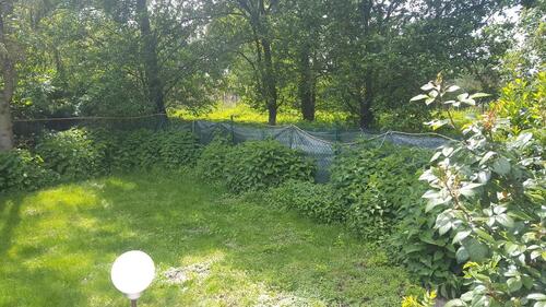 Foto - Einfamilienhaus in Bamberg zum Kaufen