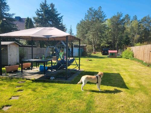 Foto - Garten Pacht ca. 800qm Fürstenwalde