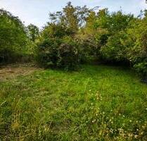 Gartengrundstück in Gaggenau in der Nähe von RastattKarlsruhe