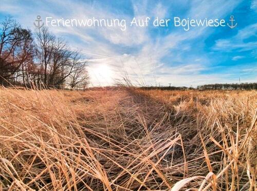 Foto - andere in Hamburg