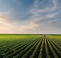 Ackerfläche - 9,00&nbsp;EUR Kaltmiete, ca.&nbsp; 0,00&nbsp;m&sup2; in Ochsenhausen (PLZ: 88416)