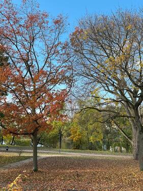 Foto - Einzimmerwohnung im Zentrum von Gießen