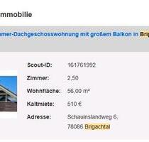 2,5 Zimmer DG Wohnung Brigachtal-Klengen - Hüfingen