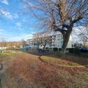 Foto - 2-Zimmer-Wohnung in Pasewalk am Volkskulturpark