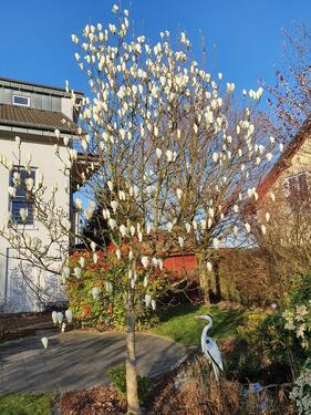 Foto - Einfamilienhaus zum Kaufen in Lohmar