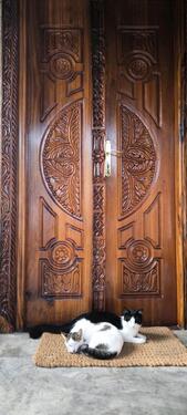 Foto - Ferienhaus mit 4 Doppelzimmern auf Sansibar