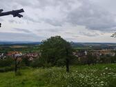 Foto - Wiese in Herrenberg Kayh zu verpachten