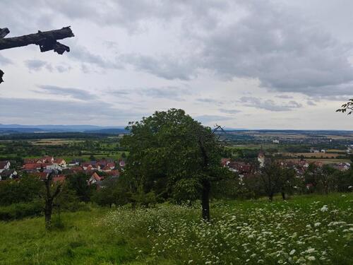 Foto - Wiese in Herrenberg Kayh zu verpachten