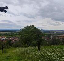 Wiese in Herrenberg Kayh zu verpachten - Nufringen