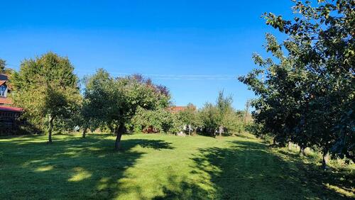 Foto - Obstgarten in einem Ortsteil von Meitingen zu verpachten