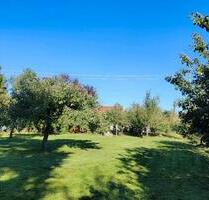 Obstgarten in einem Ortsteil von Meitingen zu verpachten