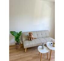 City - Oase in Darmstadt - möblierte Wohnung (2-Zimmer mit EBK) City - Oase in Darmstadt - möblierte Wohnung (2-Zimmer mit EBK)