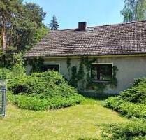 Haus mit grosser Scheune und weitläufigem Garten - Heidesee