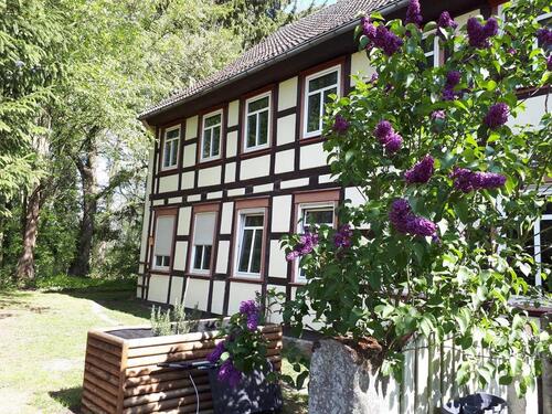 Foto - Naturgrundstück mit Haus und Nebengebäude an der Jeetze
