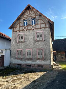 Foto - Einfamilienhaus in Riedstadt