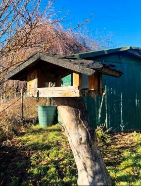 Foto - 3 Zimmer Doppelhaushälfte in Bad Liebenzell