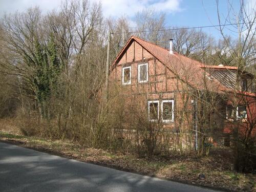 Foto - Einfamilienhaus in Erxleben
