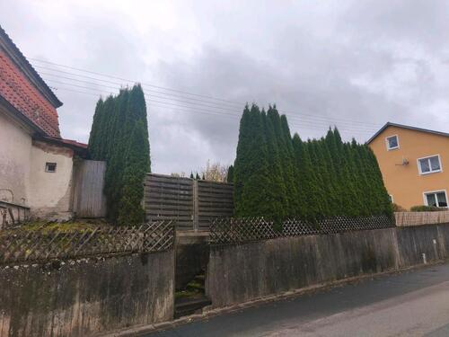 Foto - 