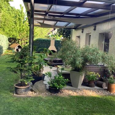 Foto - 4 Zimmer Einfamilienhaus zum Kaufen in Berlin