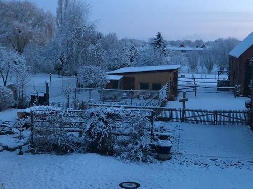 Foto - Mehrfamilienhaus, Wohnhaus in Lübz zum Kaufen