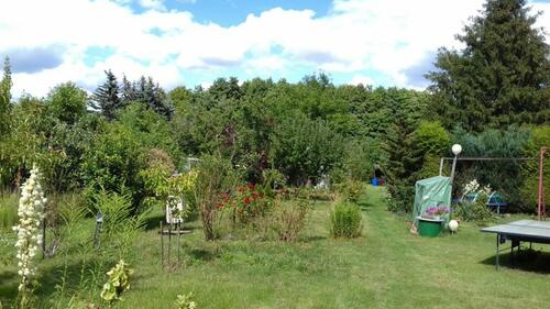 Foto - Garten mit Laube Wasser und Strom in Jüterbog zu verpachten