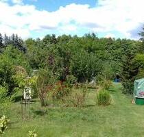 Garten mit Laube Wasser und Strom in Jüterbog zu verpachten