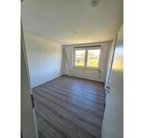 3-Zimmer-Wohnung EG Melle-Wellingholzhausen