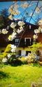 Foto - Landhaus Bäderdreieck,Golf Mekka,190qm,7800qm Grund Alleinlage
