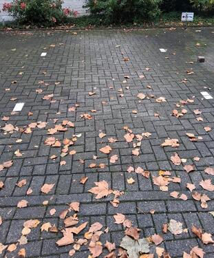 Foto - andere in Schloß Holte-Stukenbrock
