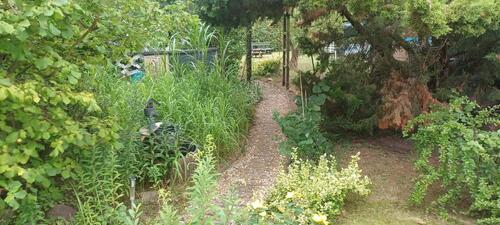 Foto - Einfamilienhaus in Gommern