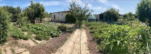 Foto - Grundst&uuml;ck zur Miete in Dummerstorf