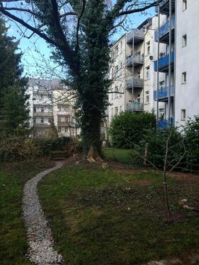 Foto - Etagenwohnung zur Miete in Chemnitz