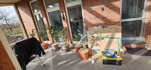 Foto - Doppelhaushälfte in Münster zur Miete