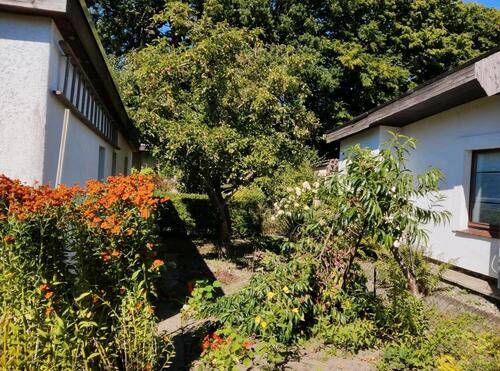 Foto - Grundst&uuml;ck in Papendorf zur Miete