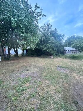 Foto - Einfamilienhaus in Brieselang zum Kaufen