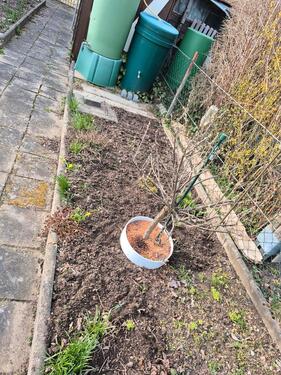 Foto - Grundst&uuml;ck in Schwerin