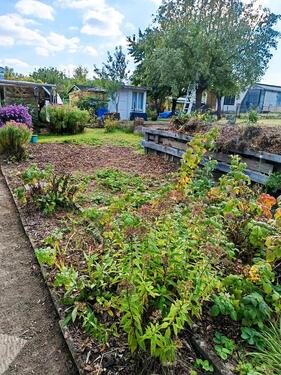 Foto - Grundstück zur Miete in Neubrandenburg