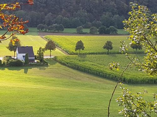 Foto - EINFAMILIENHAUS in 57368 LENNESTADT Eigennutzung Vermietung