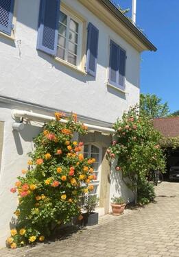 Foto - 2-Zimmer Wohnung zu vermieten, teilmöbliert, EG, Herrenberg-Kayh