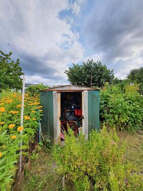 Foto - Grundst&uuml;ck in Greifswald zur Miete