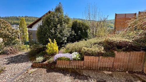 Foto - 