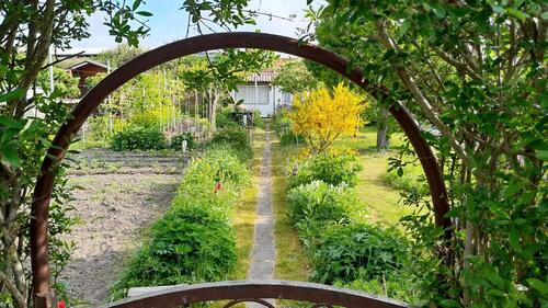 Foto - Garten, 405 qm, nähe Rentenvers., HOST, Knieper Nord + West 1